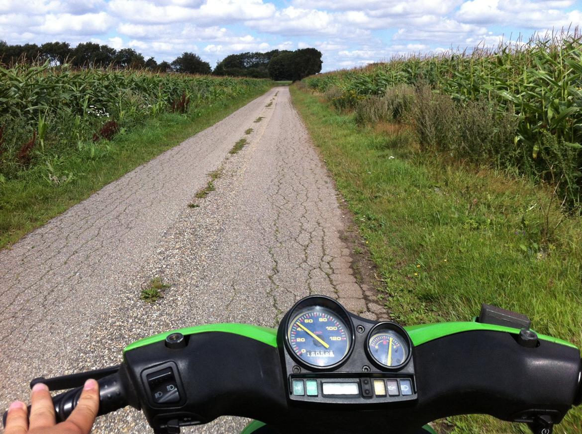 Gilera Stalker "Agurken" billede 9