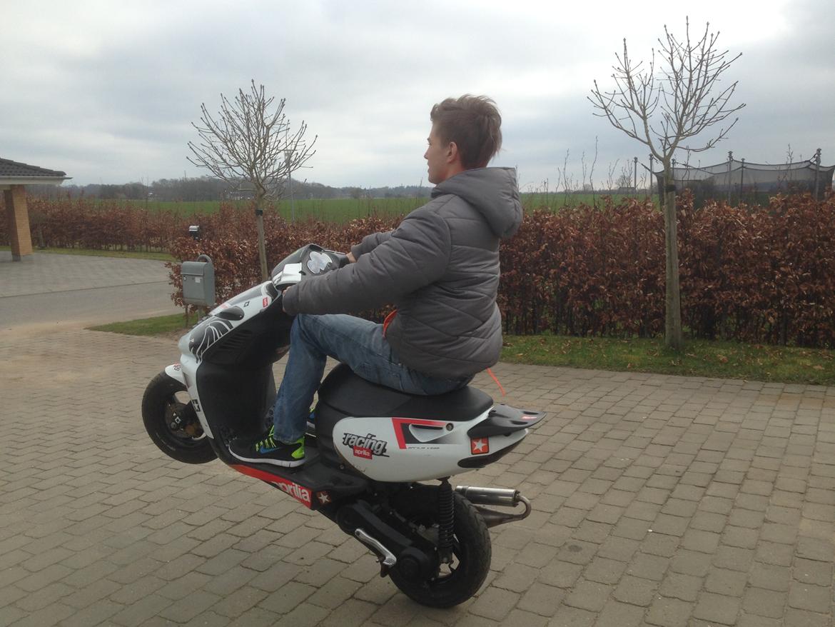 Aprilia sonic billede 9