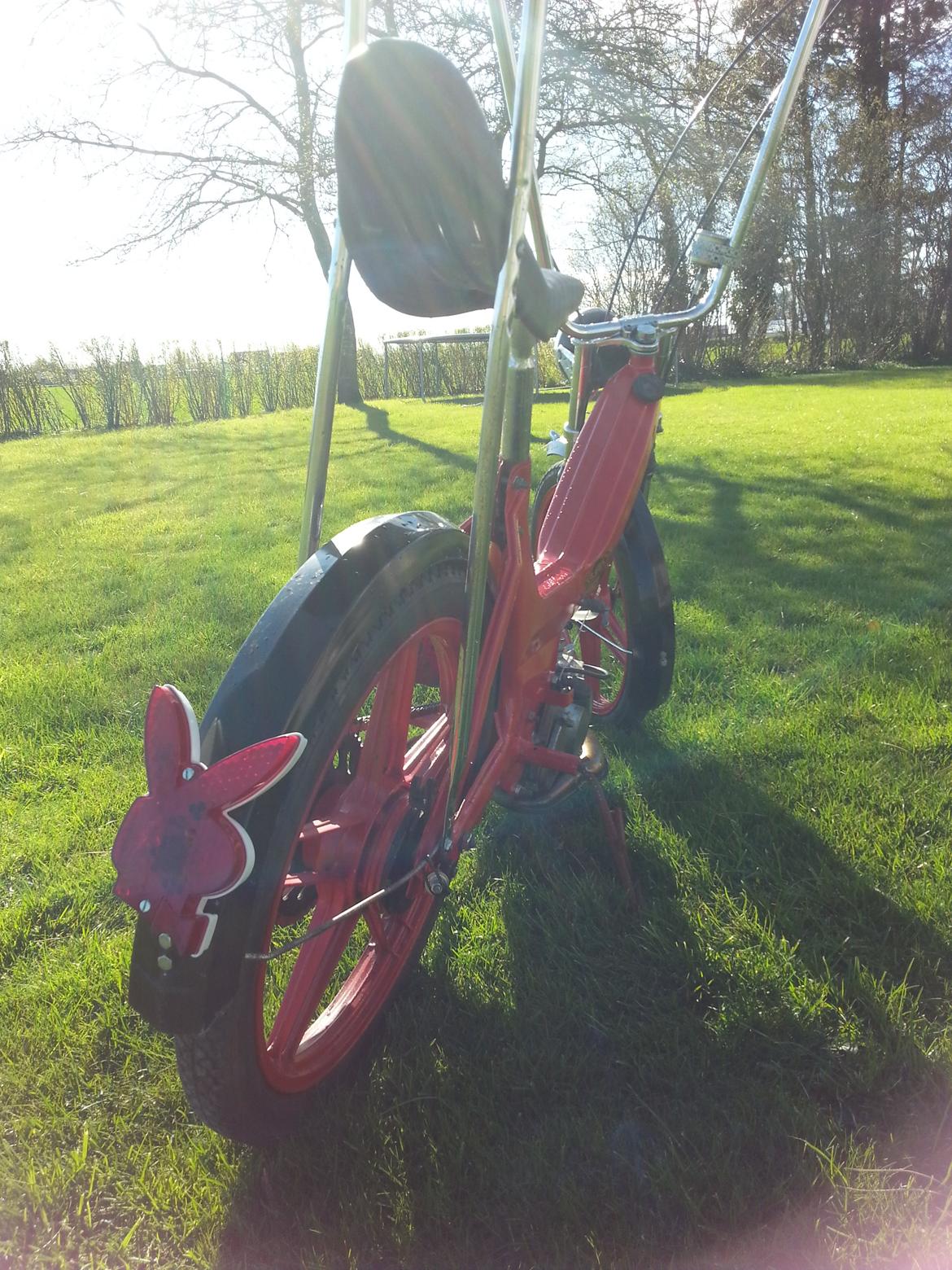 Puch Maxi billede 6