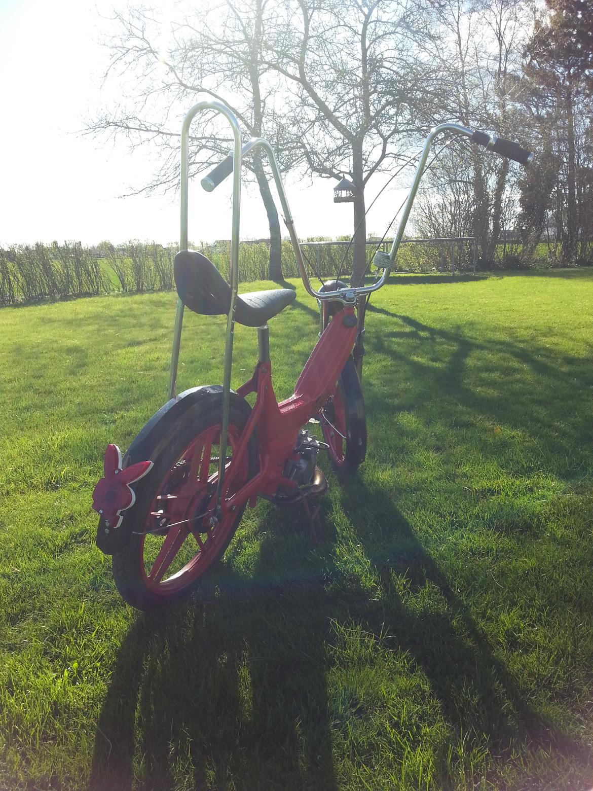Puch Maxi billede 5