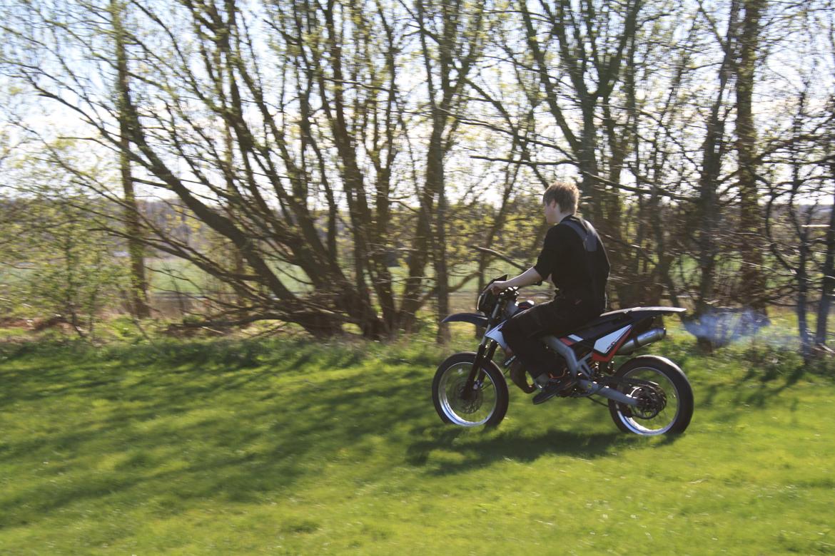 Gilera SMT billede 15