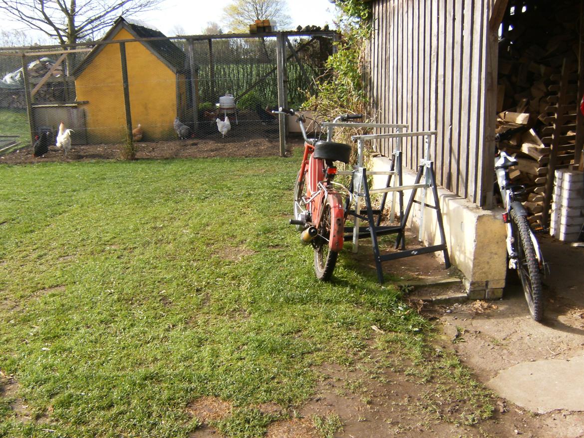 Puch maxi k billede 3