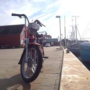 Puch Maxi P