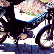 Puch ''Street Racer" Maxi (C P #1)(R.I.P)