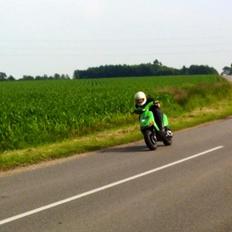 Gilera Stalker "Agurken"