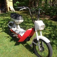 Puch mini
