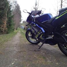 Rieju Rs2 Pro matrix