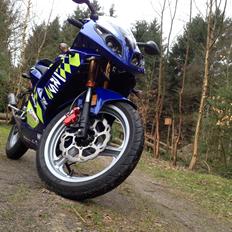 Rieju Rs2 Pro matrix