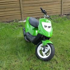 PGO Hot 50 ¤Kawasaki¤