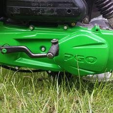 PGO Hot 50 ¤Kawasaki¤