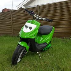 PGO Hot 50 ¤Kawasaki¤