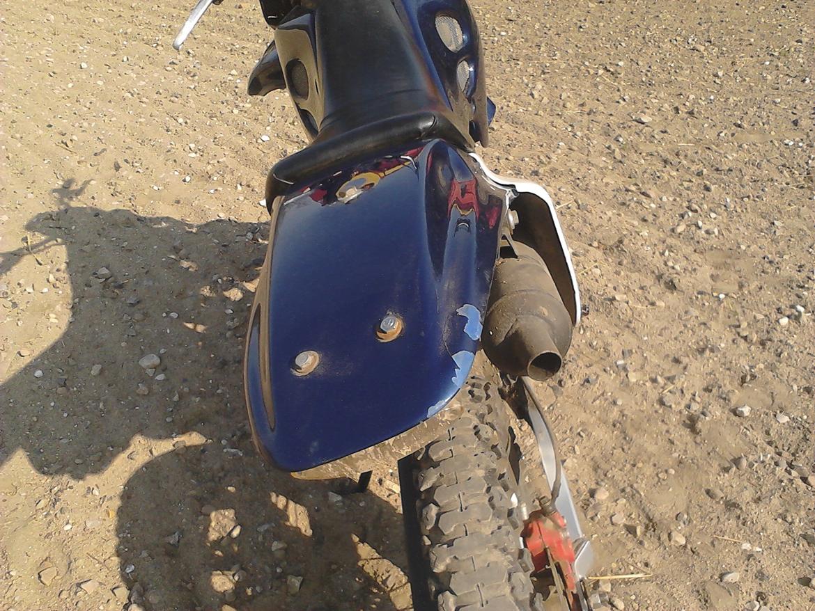 Suzuki Smx billede 5