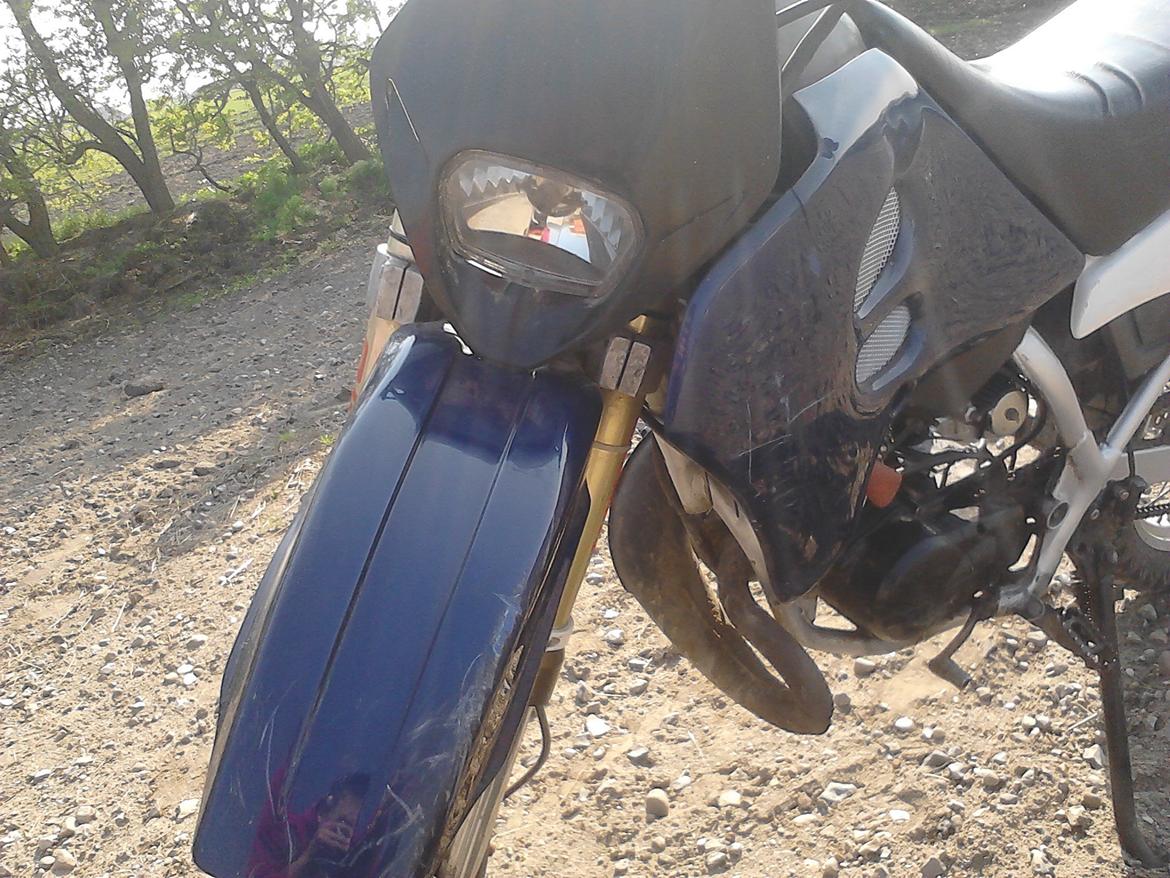 Suzuki Smx billede 6