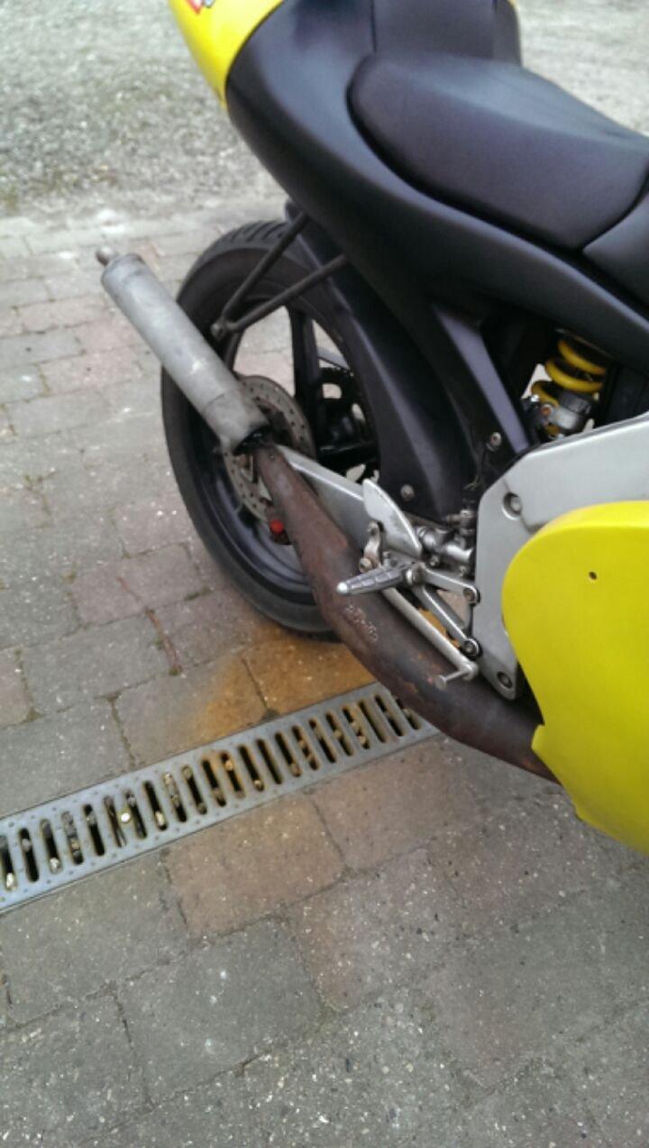 Aprilia rs50 billede 6