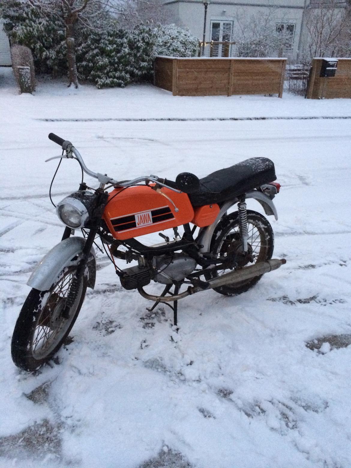 Veteraner Jawa Mustang billede 5