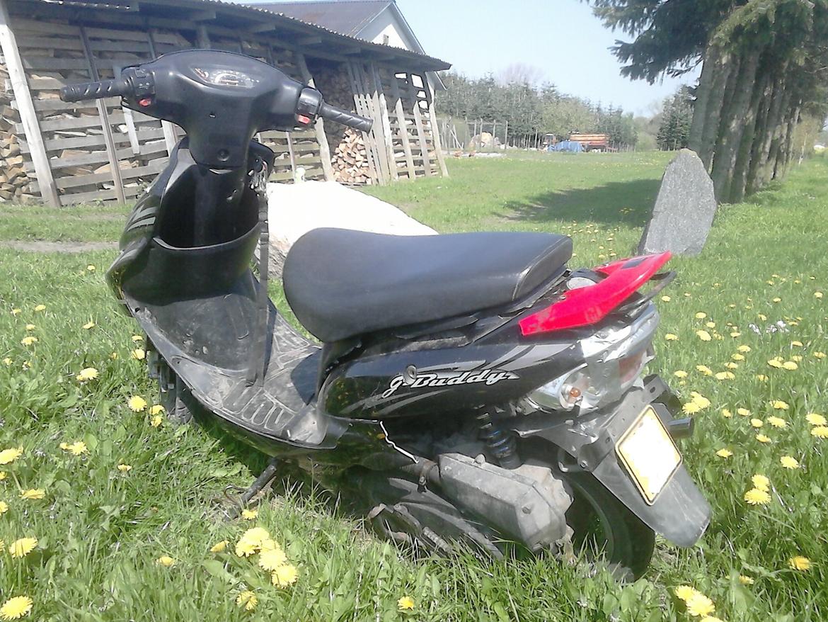 Giantco G-Buddy billede 3