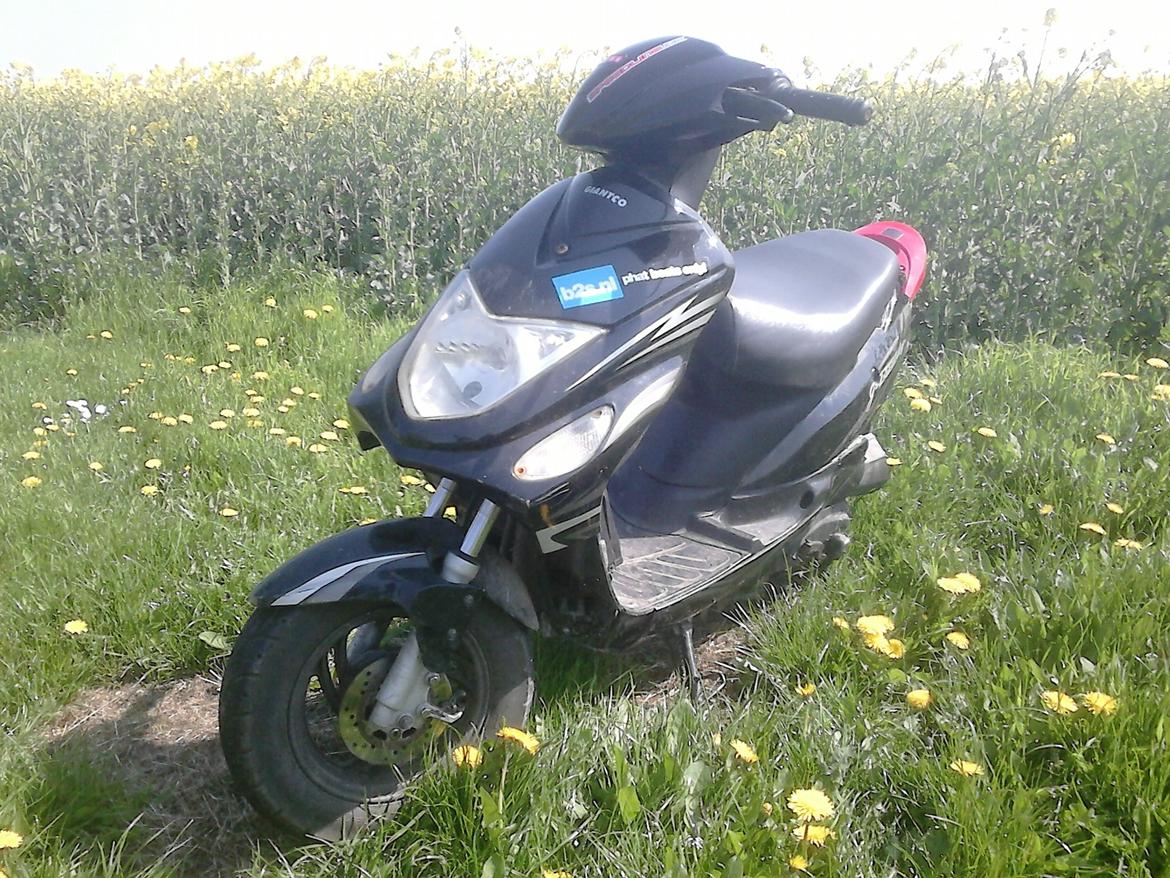 Giantco G-Buddy billede 2