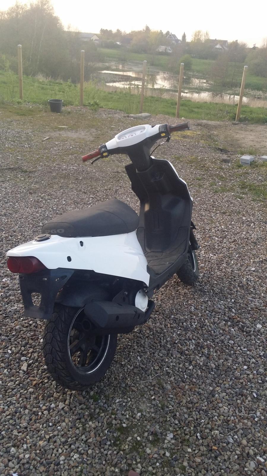 PGO Hot 50 Pmps billede 10