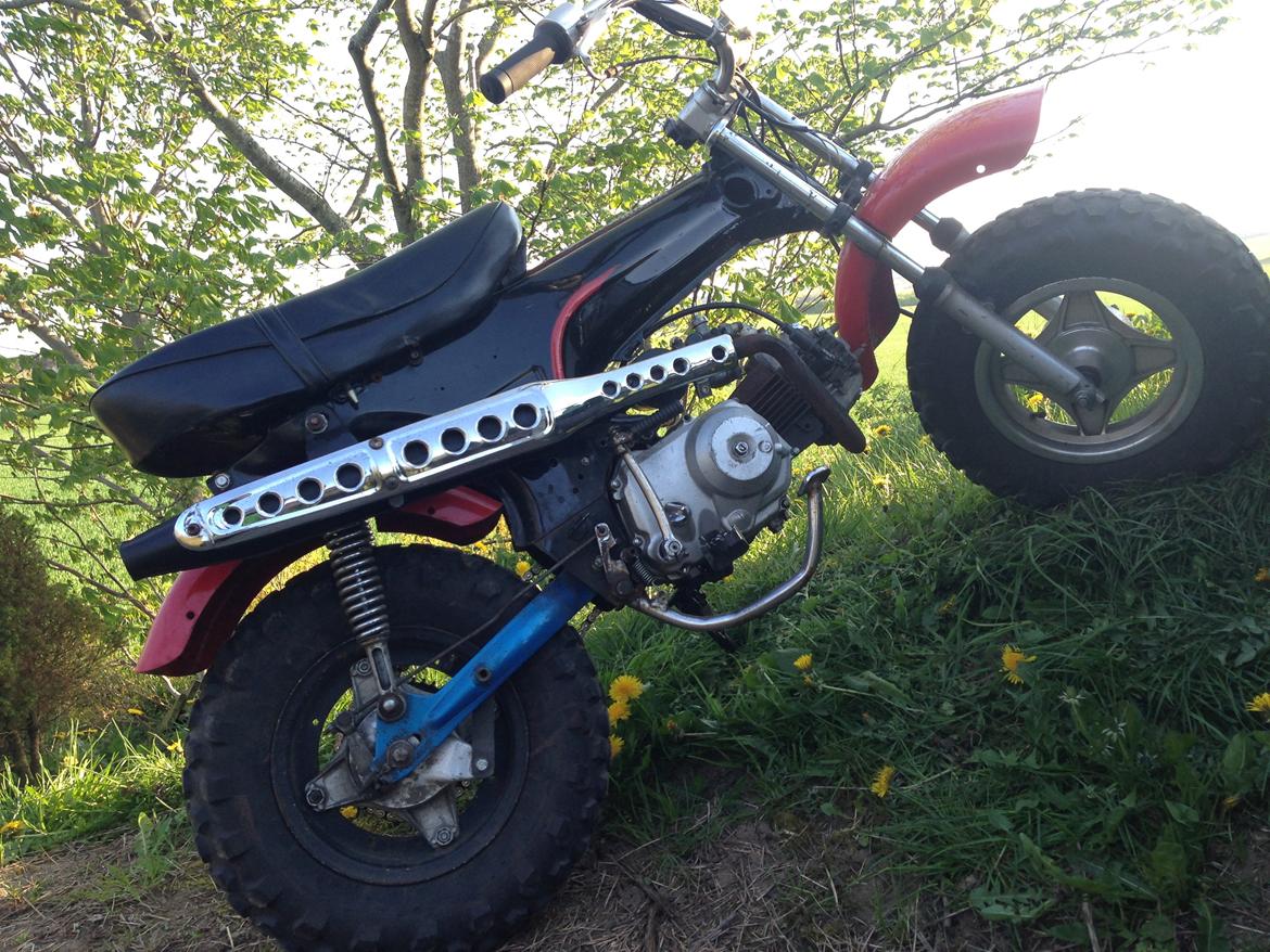 Skyteam Dax billede 8