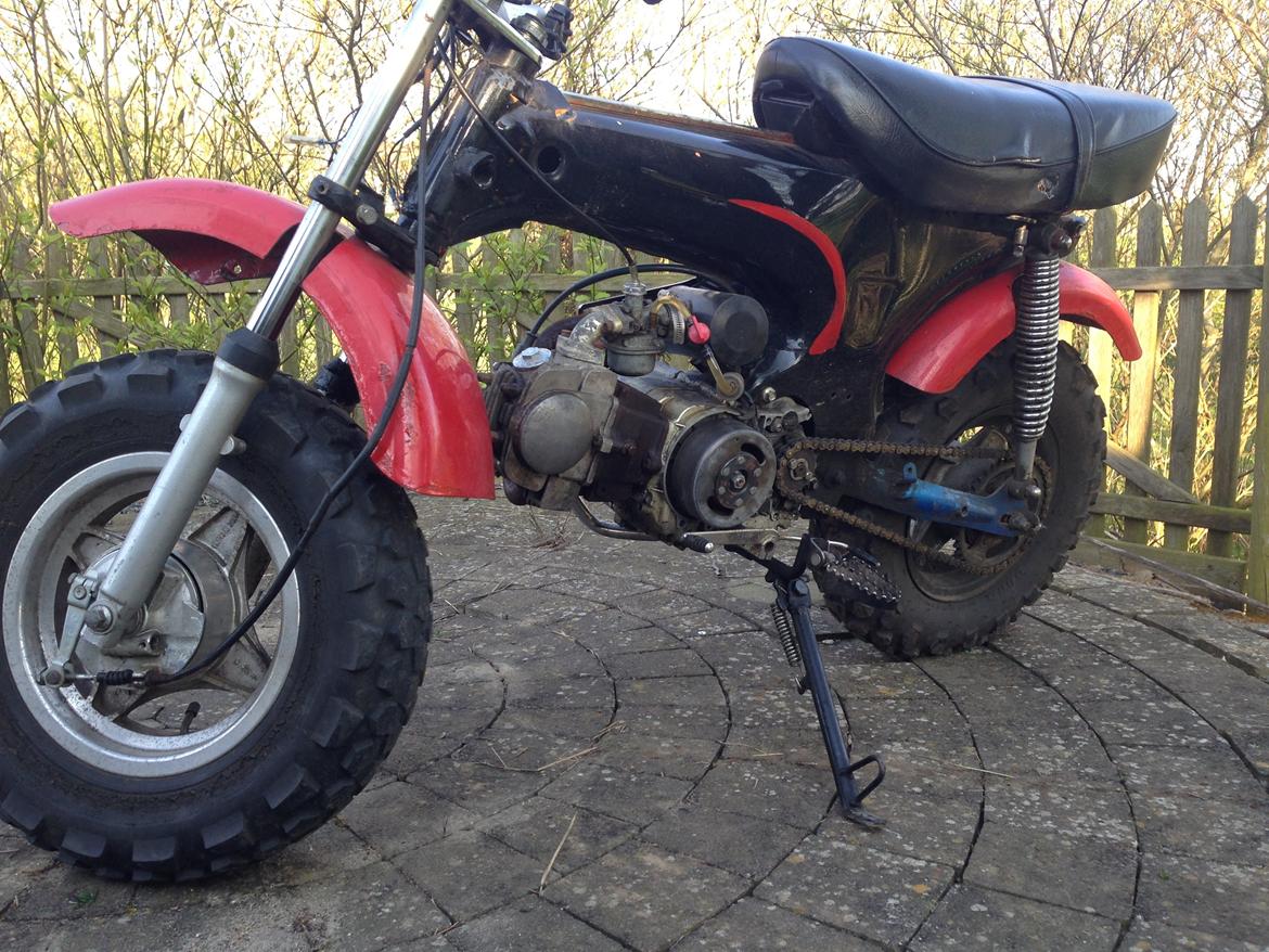 Skyteam Dax billede 5