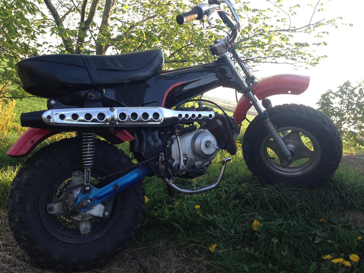 Skyteam Dax billede 9