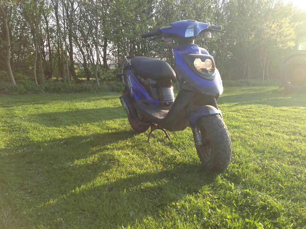 PGO big max billede 2