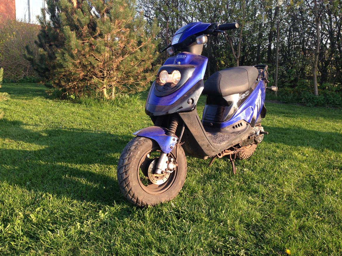 PGO big max billede 1