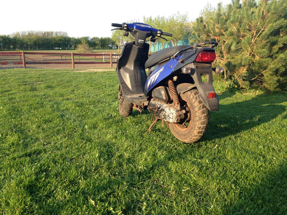 PGO big max billede 3