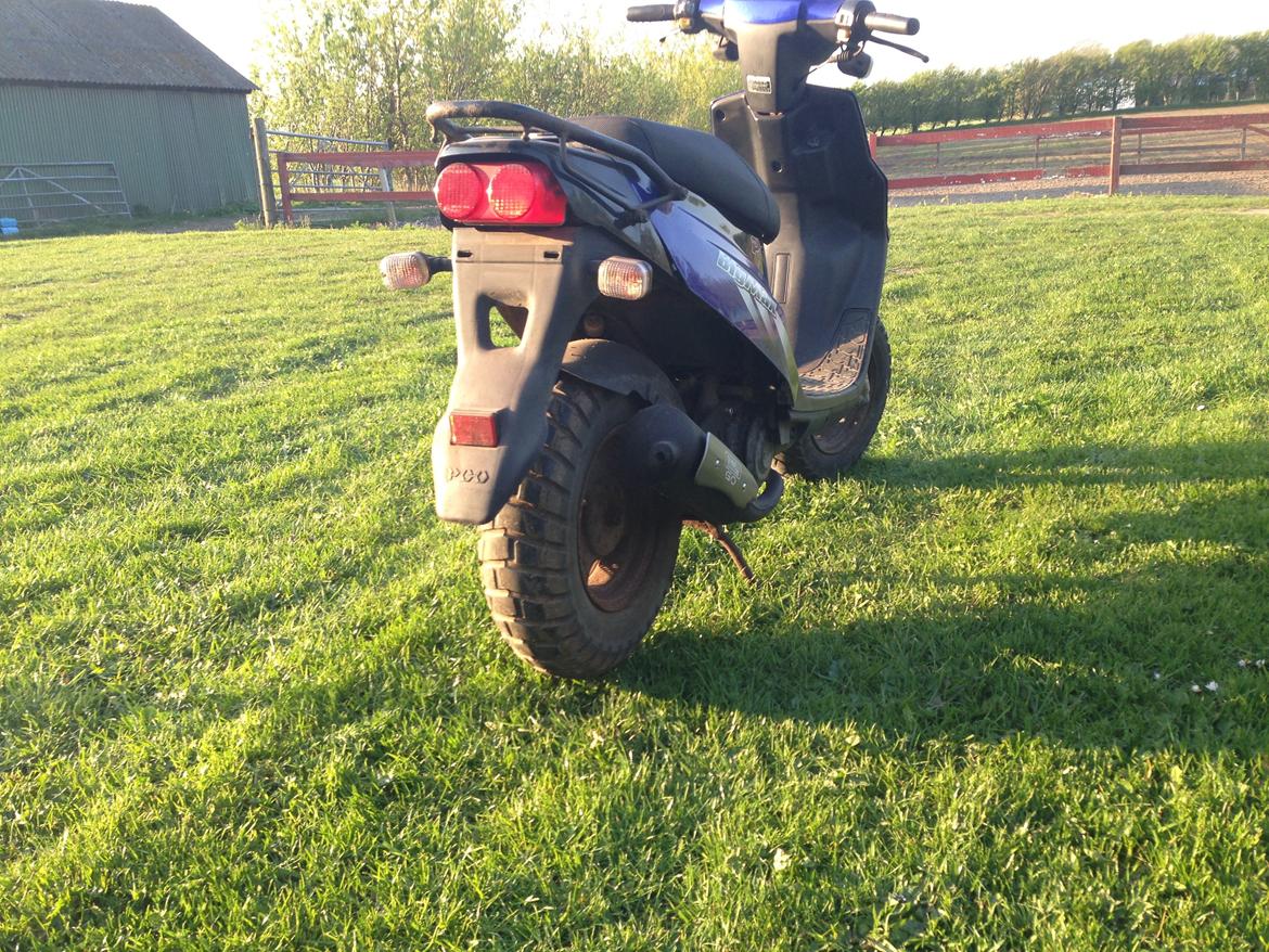 PGO big max billede 4