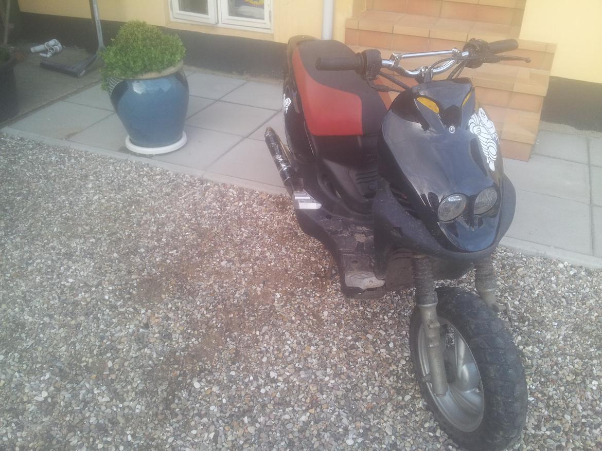 PGO PMX SPORT billede 8