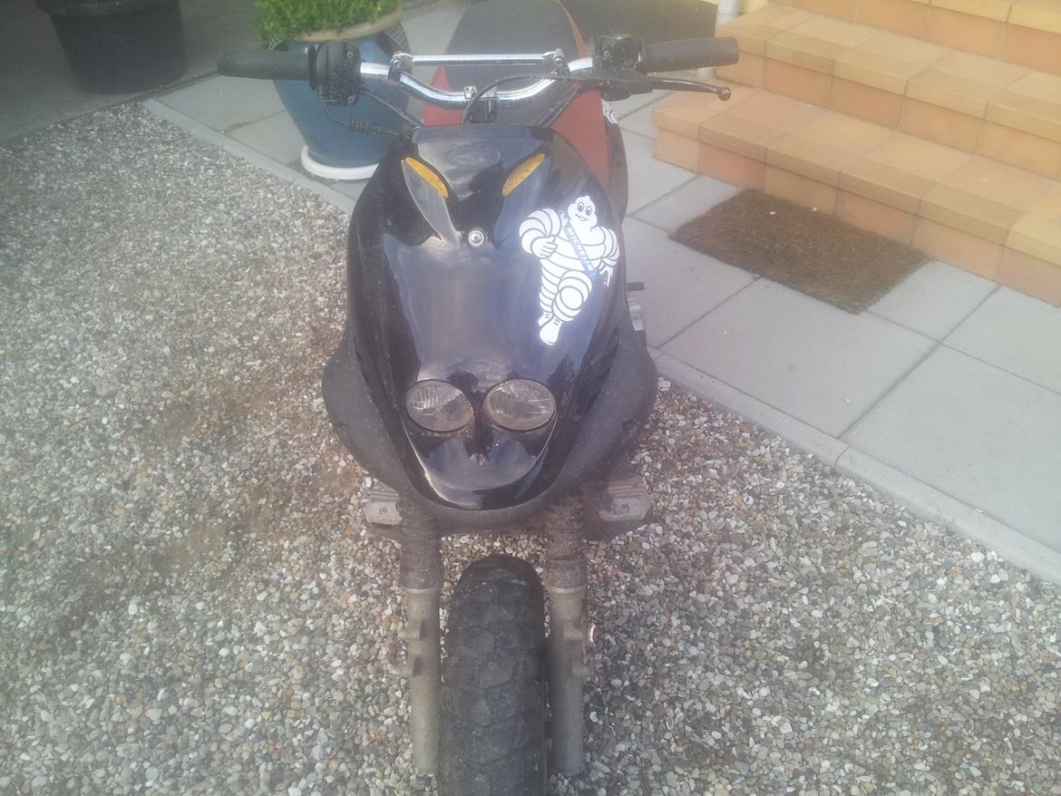 PGO PMX SPORT billede 9