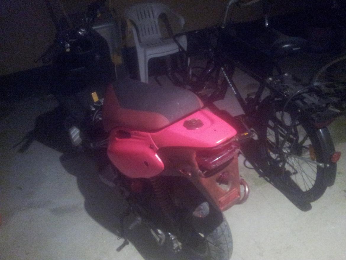 PGO PMX SPORT billede 15