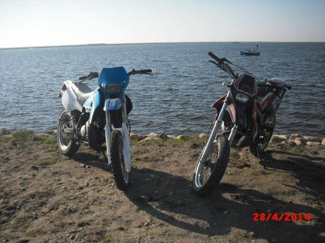Suzuki SMX/RMX billede 2