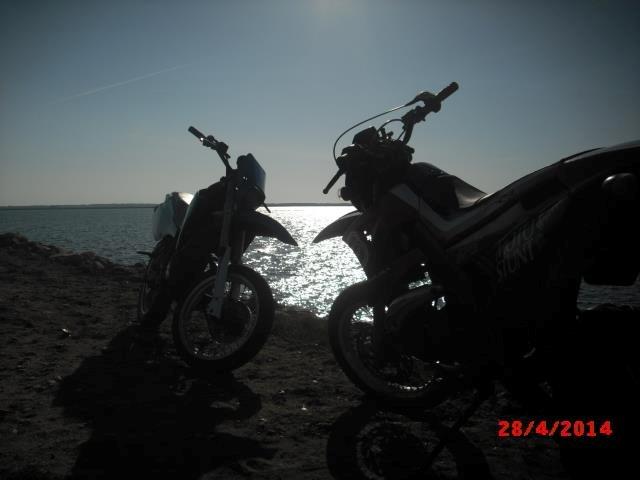 Suzuki SMX/RMX billede 6