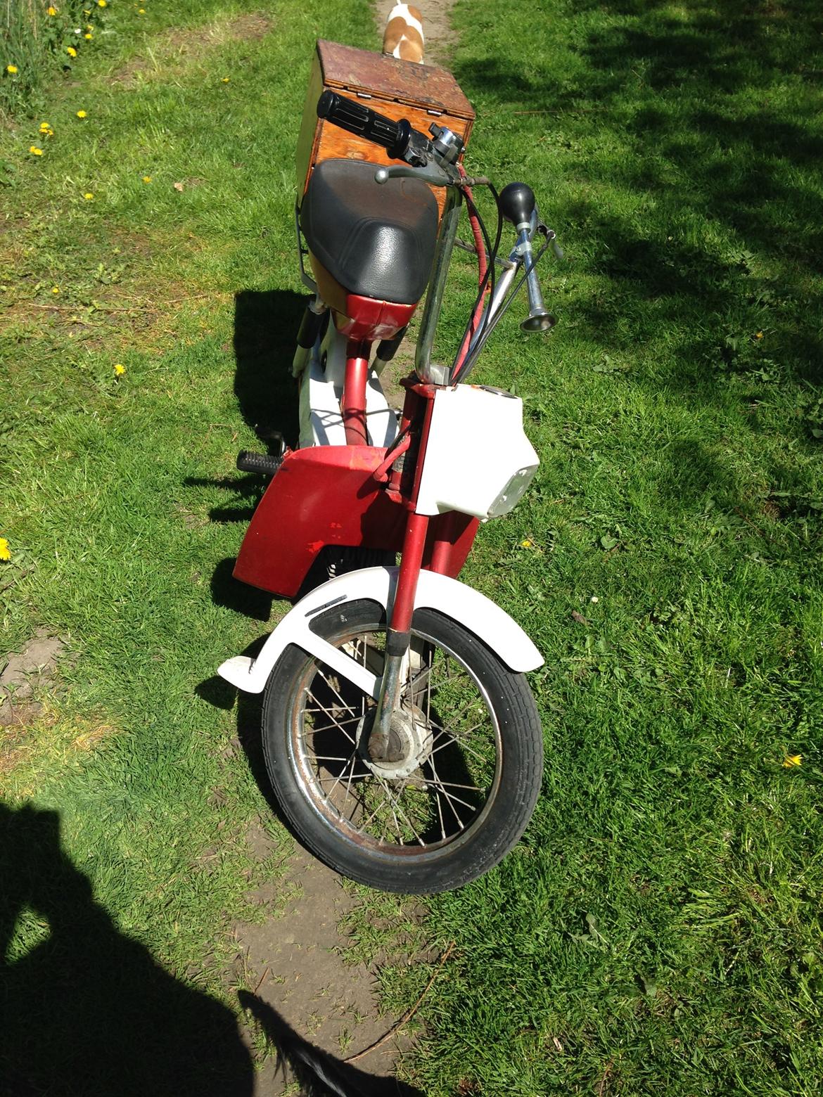 Puch mini billede 1