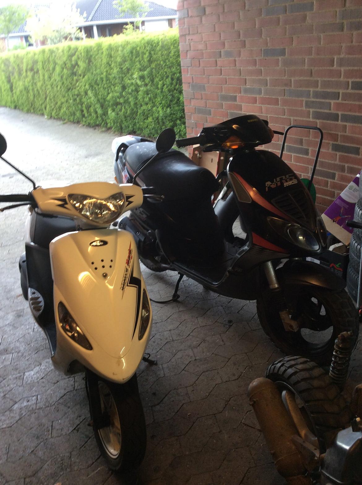 PGO Galaxy 50 (White magic) billede 24