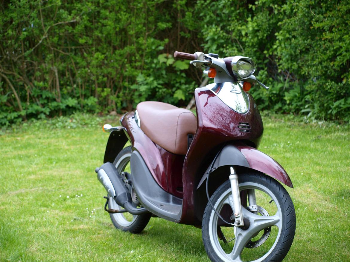 Yamaha Why billede 2