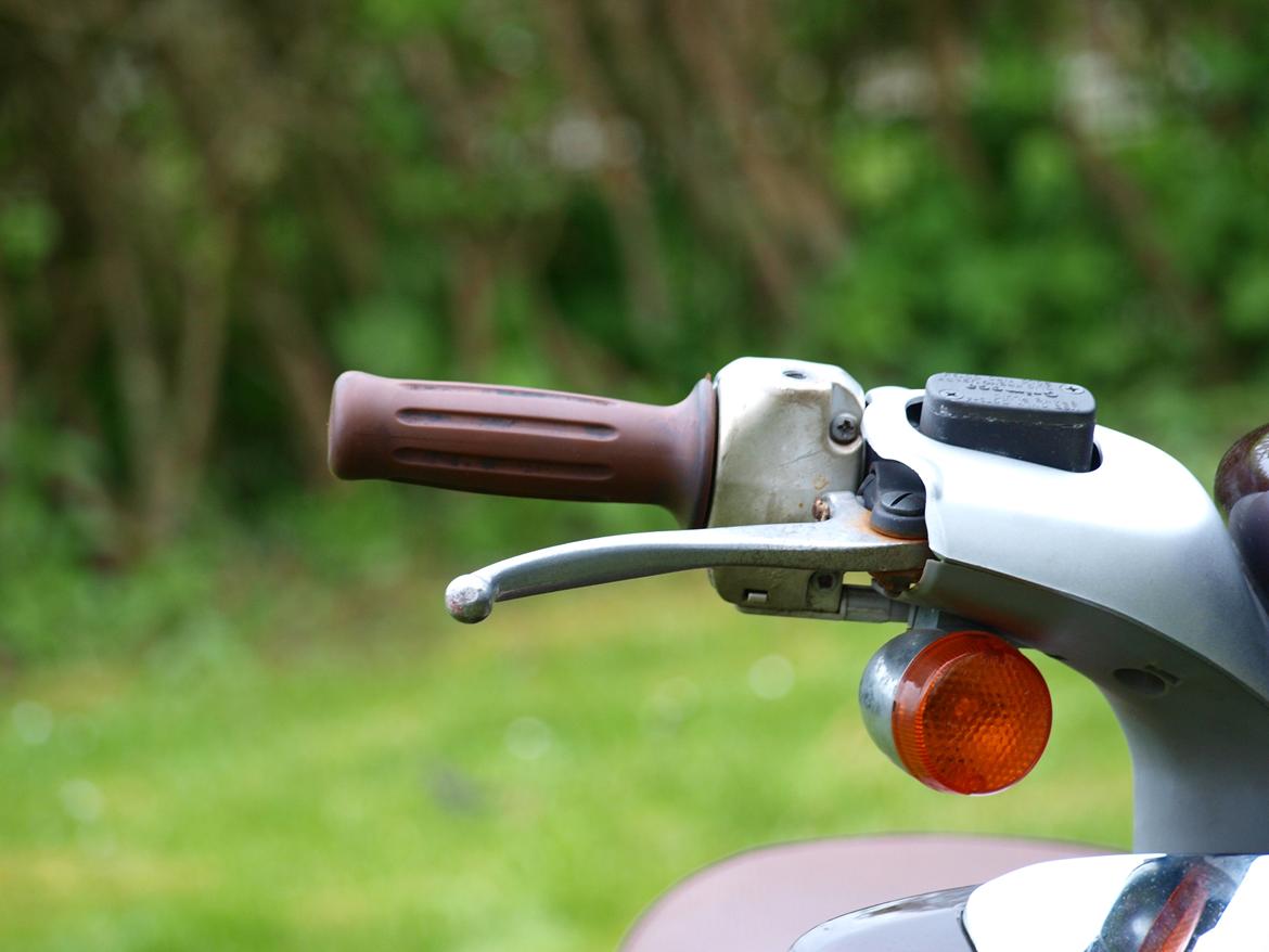 Yamaha Why billede 8