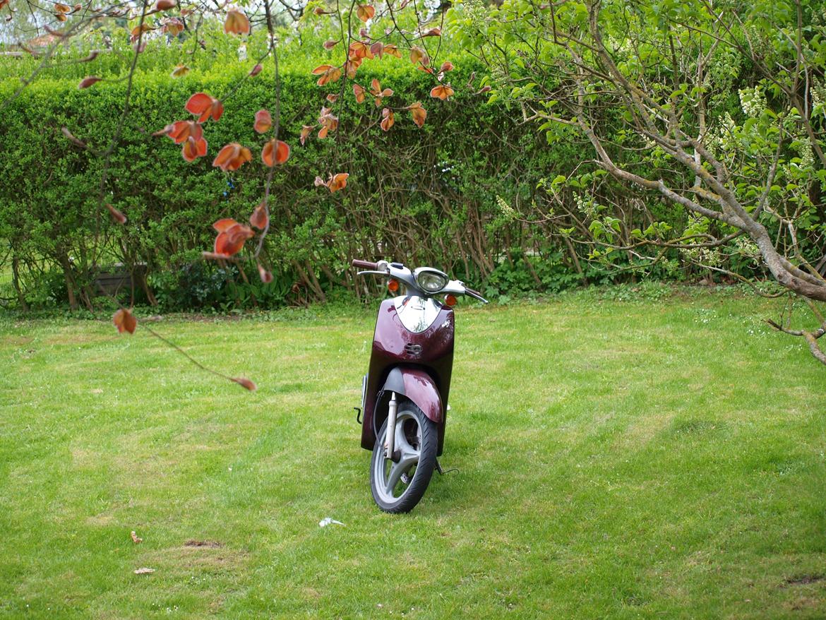 Yamaha Why billede 12