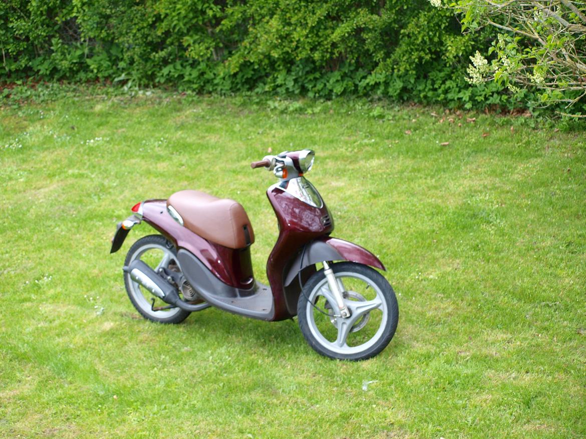 Yamaha Why billede 17