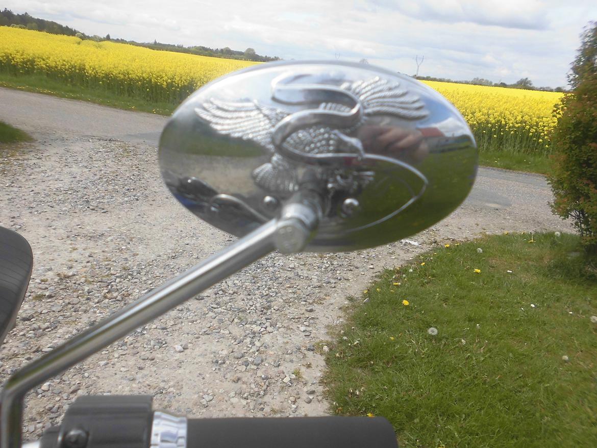 Suzuki dm50 billede 5