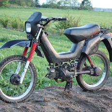 Yamaha Sting - ''Crossedit''