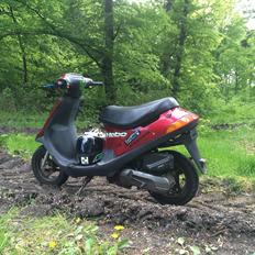 PGO Comet ( GRISEN )