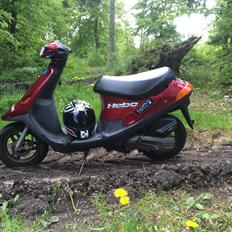 PGO Comet ( GRISEN )