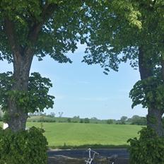 Puch maxi 74cc SVEJST KOBLINg SOLGT