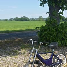 Puch maxi 74cc SVEJST KOBLINg SOLGT