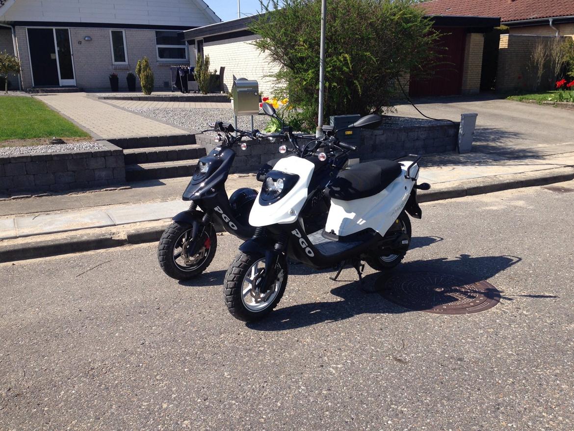 PGO HOT 50 Naked billede 7