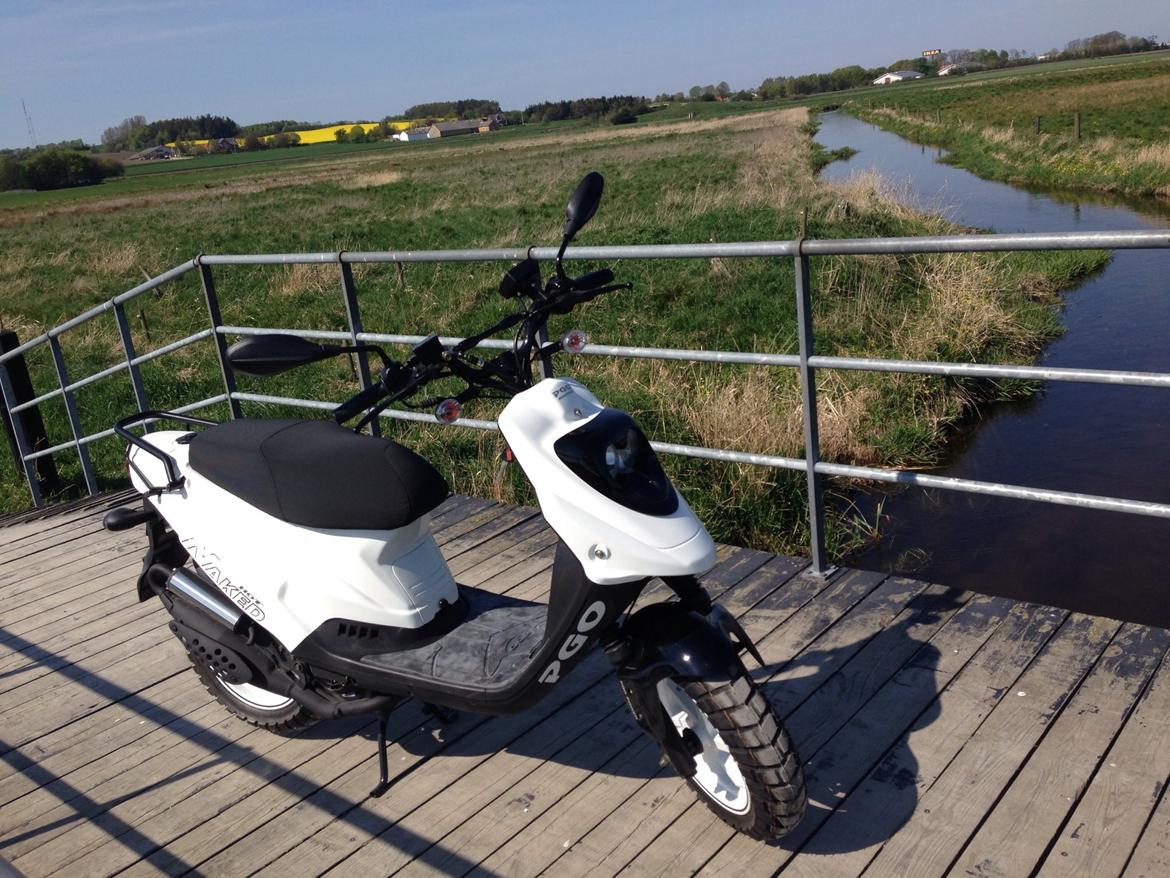 PGO HOT 50 Naked billede 6