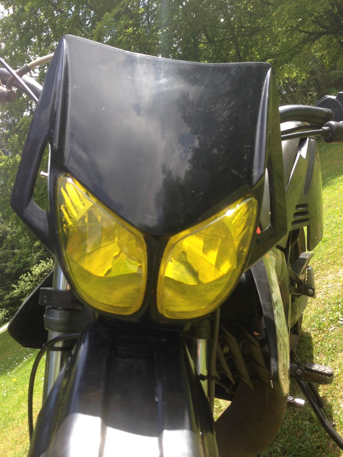 Derbi Senda - Sussy :-) billede 8