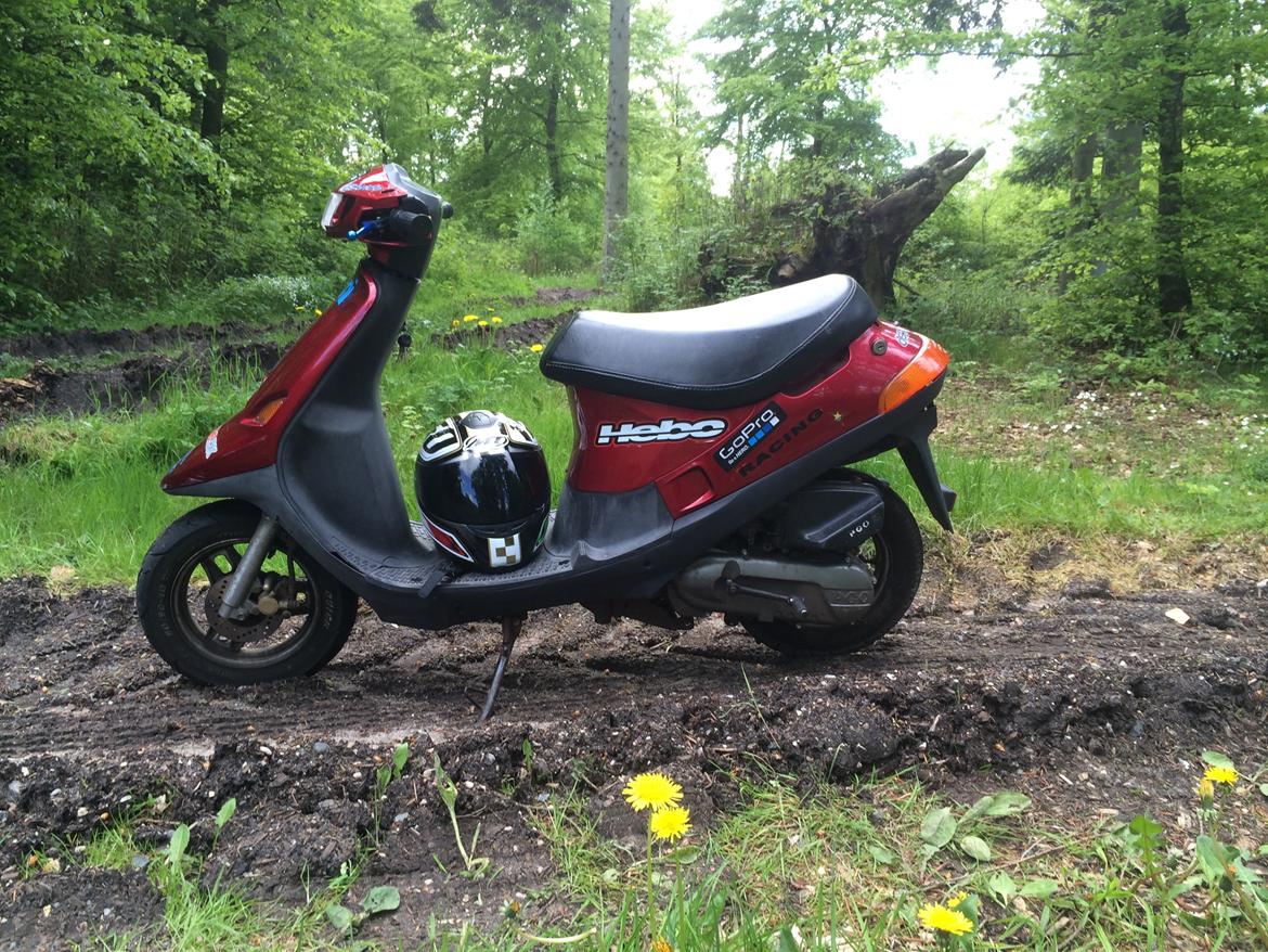 PGO Comet ( GRISEN ) billede 3